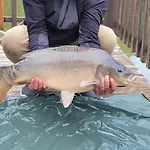 別荘 Flottantes Et Au Fil De L'eau *