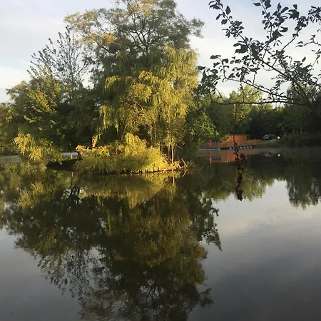 Flottantes Et Au Fil De L'eau Colleville