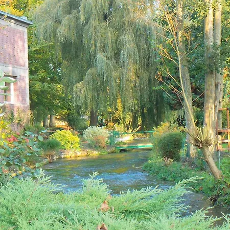 Flottantes Et Au Fil De L'eau * Colleville