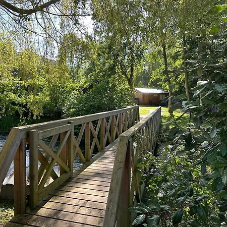 Flottantes Et Au Fil De L'eau