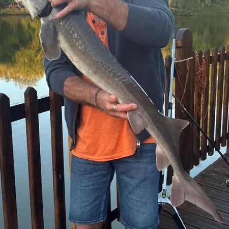 Vakantiehuis Flottantes Et Au Fil De L'eau Colleville