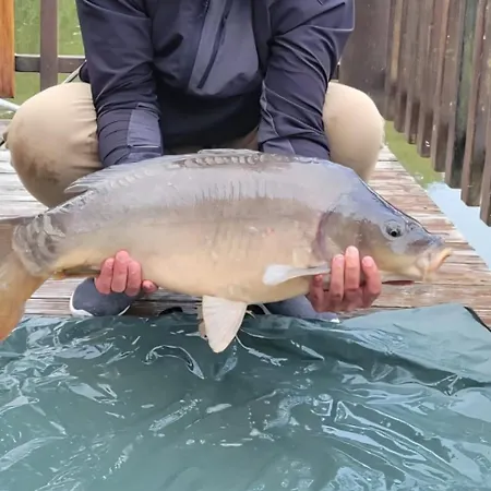 펜션 Flottantes Et Au Fil De L'eau *