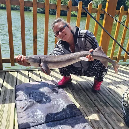 펜션 Flottantes Et Au Fil De L'eau