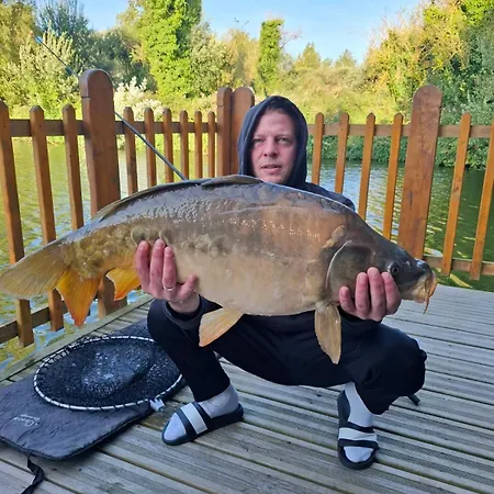 Flottantes Et Au Fil De L'eau 펜션 Colleville