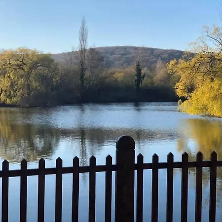 펜션 Flottantes Et Au Fil De L'eau