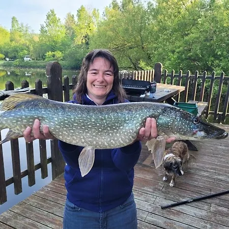 Flottantes Et Au Fil De L'eau * Colleville