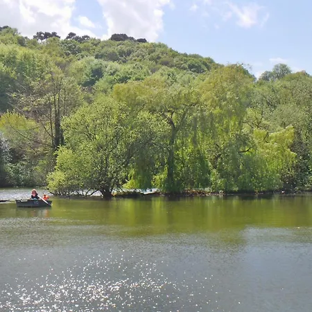 Flottantes Et Au Fil De L'eau Colleville