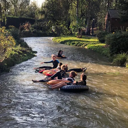 Flottantes Et Au Fil De L'eau
