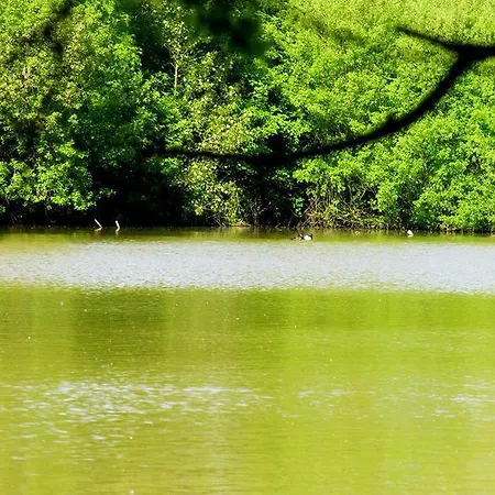 Flottantes Et Au Fil De L'eau 펜션