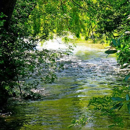 Flottantes Et Au Fil De L'eau *