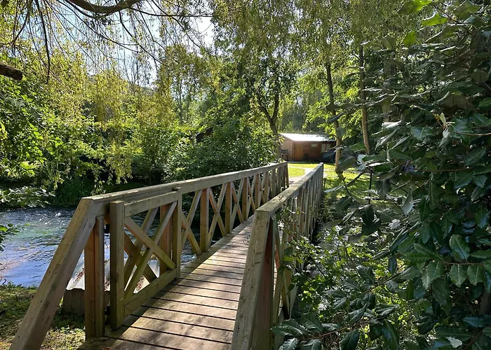 Flottantes Et Au Fil De L'eau