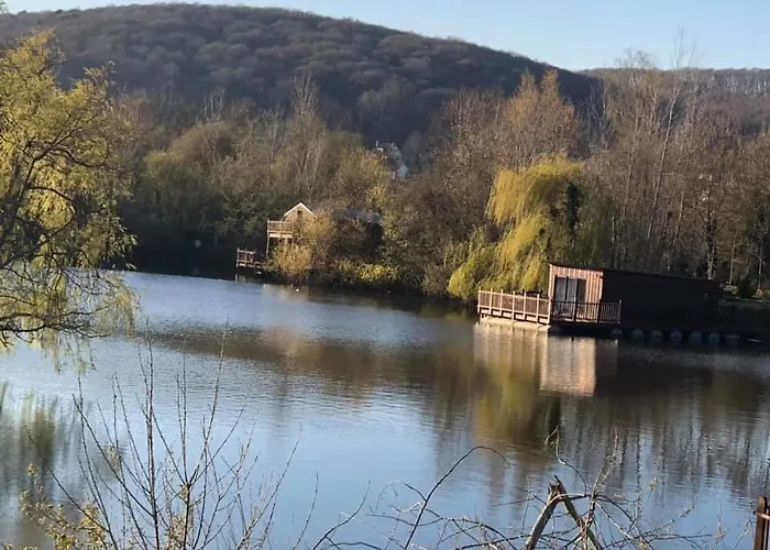 Flottantes Et Au Fil De L'eau