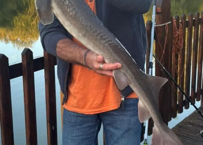 Holiday home Flottantes Et Au Fil De L'eau Colleville