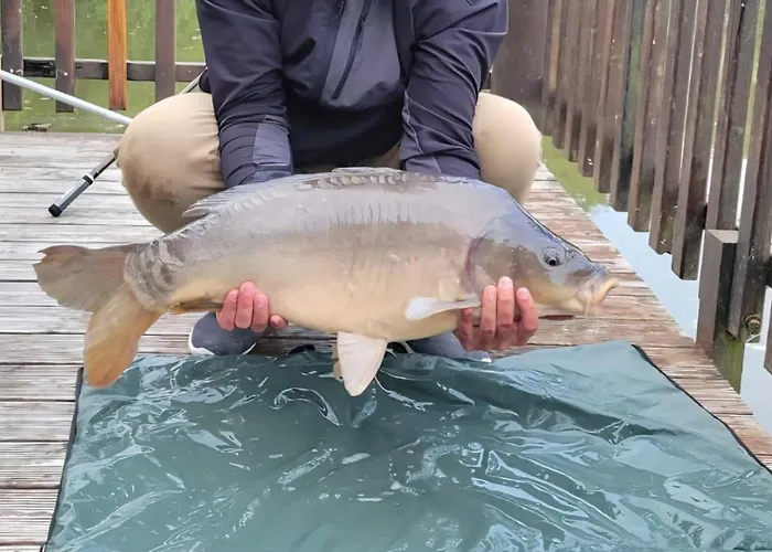 Dom wakacyjny Flottantes Et Au Fil De L'eau *