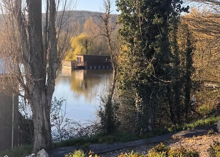 Flottantes Et Au Fil De L'eau *