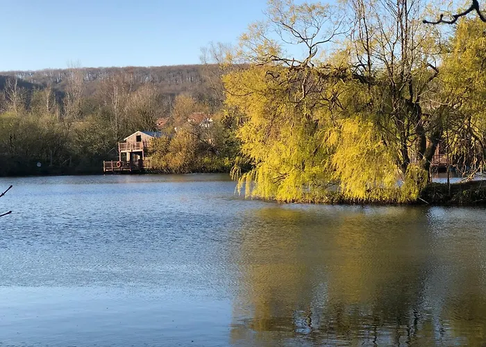 Flottantes Et Au Fil De L'eau *