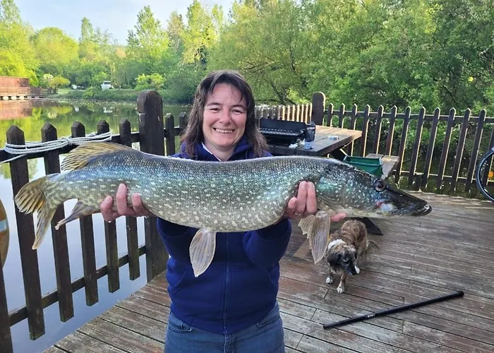 Flottantes Et Au Fil De L'eau * Colleville