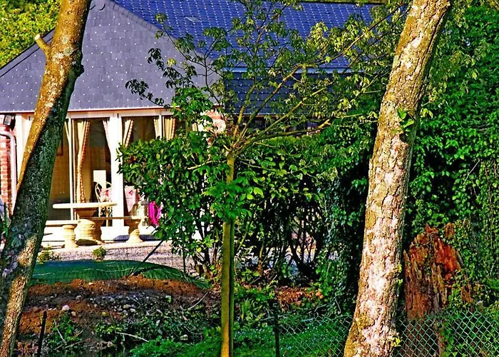 Flottantes Et Au Fil De L'eau *