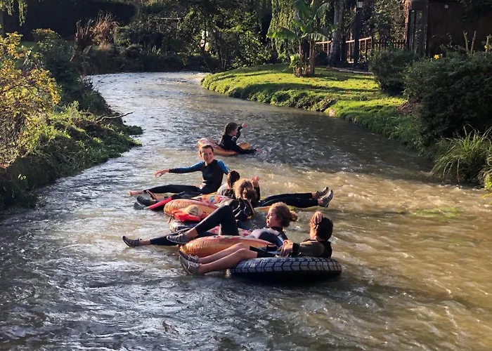 Flottantes Et Au Fil De L'eau