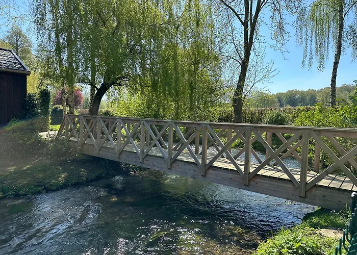 Flottantes Et Au Fil De L'eau *