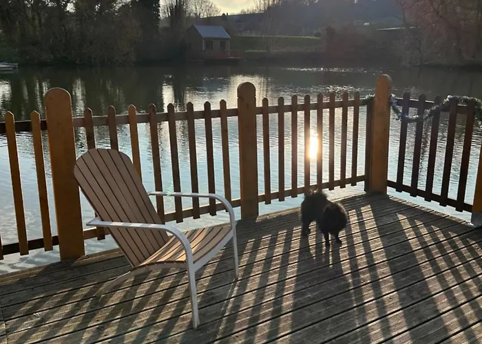 Flottantes Et Au Fil De L'eau